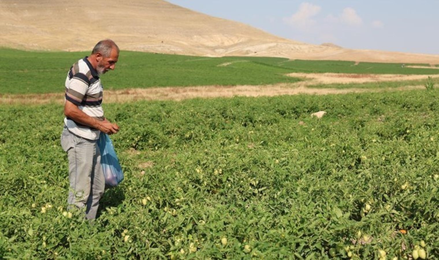 Üretici yurttaşlara seslendi: ‘Markette 30 lira Gelin tarladan 8 liraya alın”