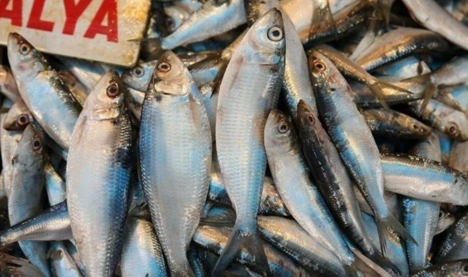 Uzmanlar tek tek sıraladı: Sperm kalitesini artırıyor