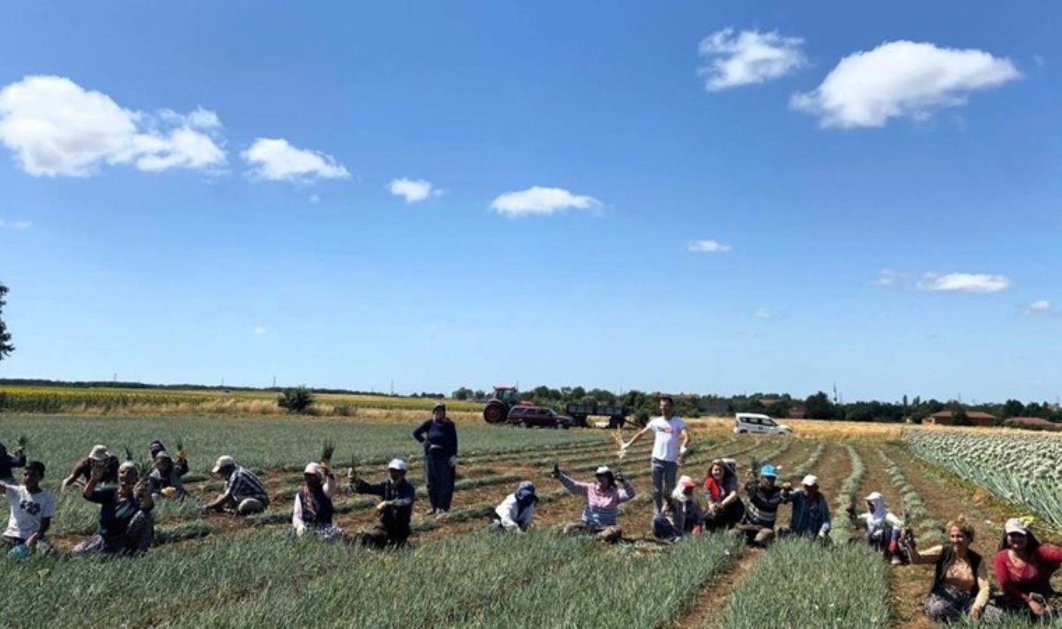 Vize’de hasat başladı: 2 gün toprağın üstünde kurutulacak…
