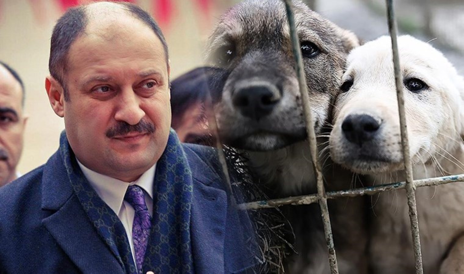 Yeniden Refahlı Belediye Başkanı Gülpınar’dan ‘sokak hayvanları’ resti: ‘Hayatımda ilk defa kanunu çiğneyebilirim’