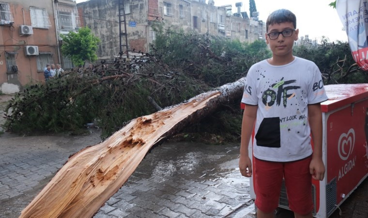 Yer: Adana… Devrilen ağacın altında kalmaktan son anda kurtuldu: ‘Burada elim ayağım titredi’