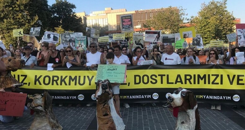 Yurttaşlar hayvan katliamı yasasına karşı toplandı: ‘Soykırım noktasına geldi’