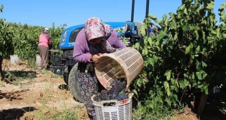 2024 yılıyla ilgili ürün destekleri açıklandı. Üreticiler maliyete dikkat çekti