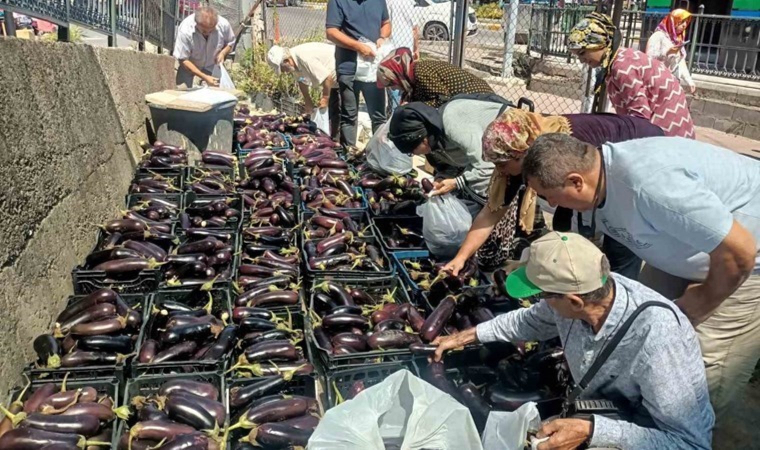 25 dönüm topraktan aldığı mahsulün 5 tonunu ücretsiz dağıttı…