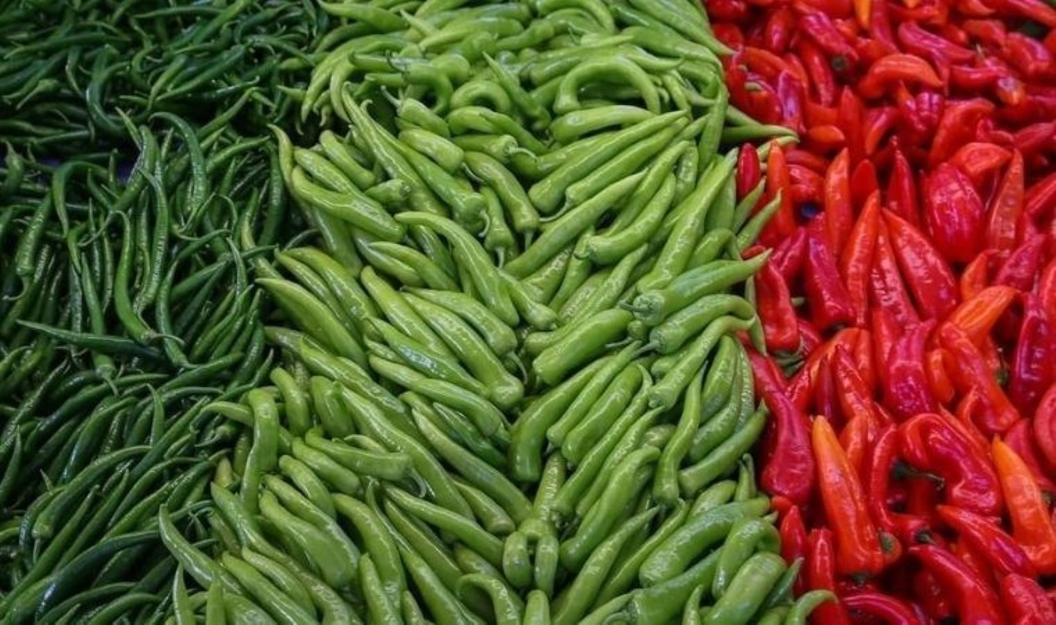 Acı Biberin Sağlık Üzerindeki Olumlu Etkileri