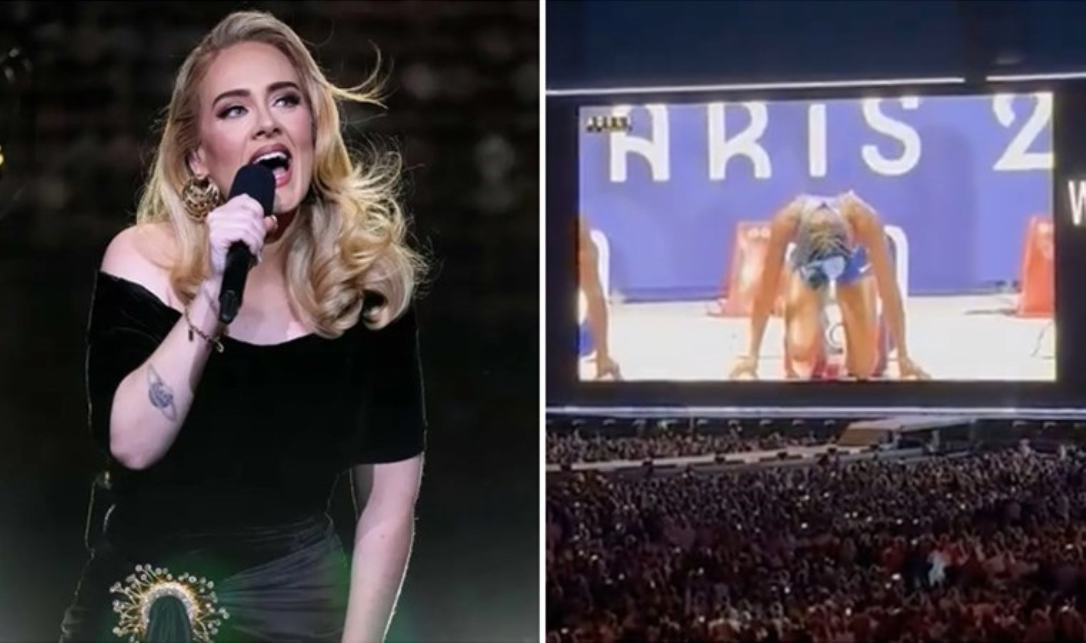 Adele Müzik Kariyerine Ara Veriyor