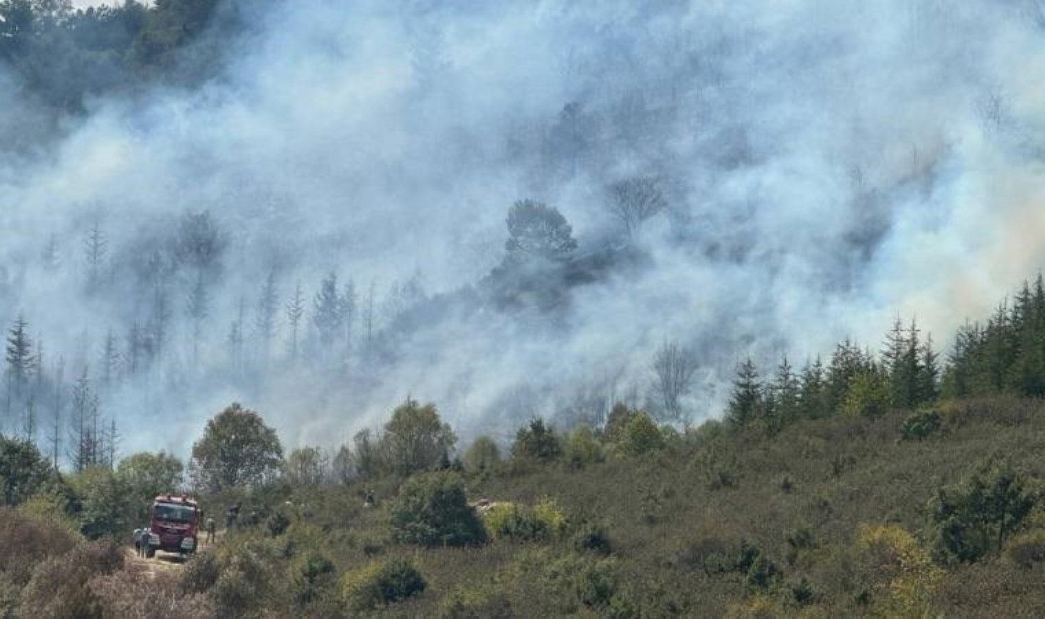Afyonkarahisar’daki orman yangını denetim altına alındı