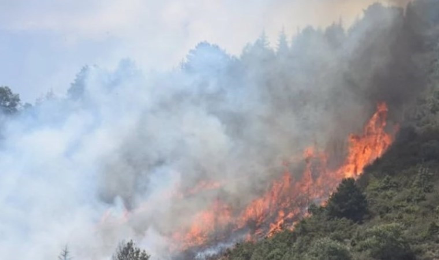 Afyonkarahisar’daki orman yangınına ait 1 gözaltı