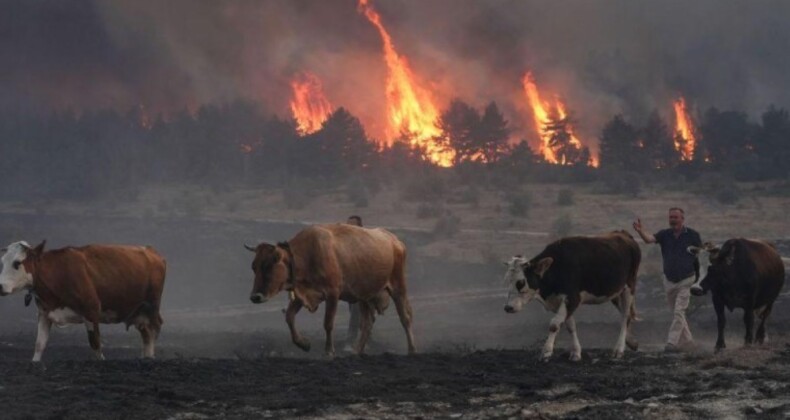 Ankara’da başlayıp Bolu’ya sıçrayan yangın yüzünden iki köy tahliye edildi