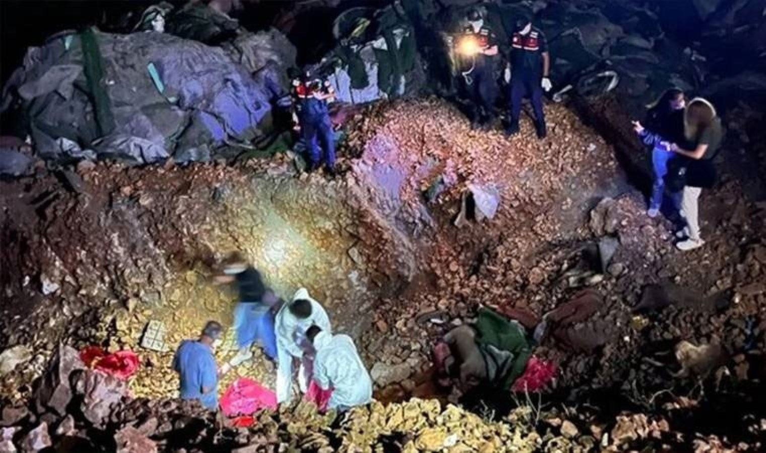 Ankara’da Sokak Hayvanları Üzerine Tartışmalar ve İddialar