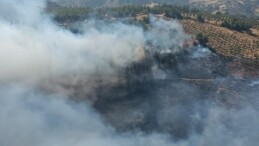 Antakya’da Ormanlık Alanda Yangın Çıktı