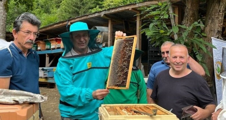 Artvin’de Bal Ormanları ile Arıcılıkta Yeni Dönem