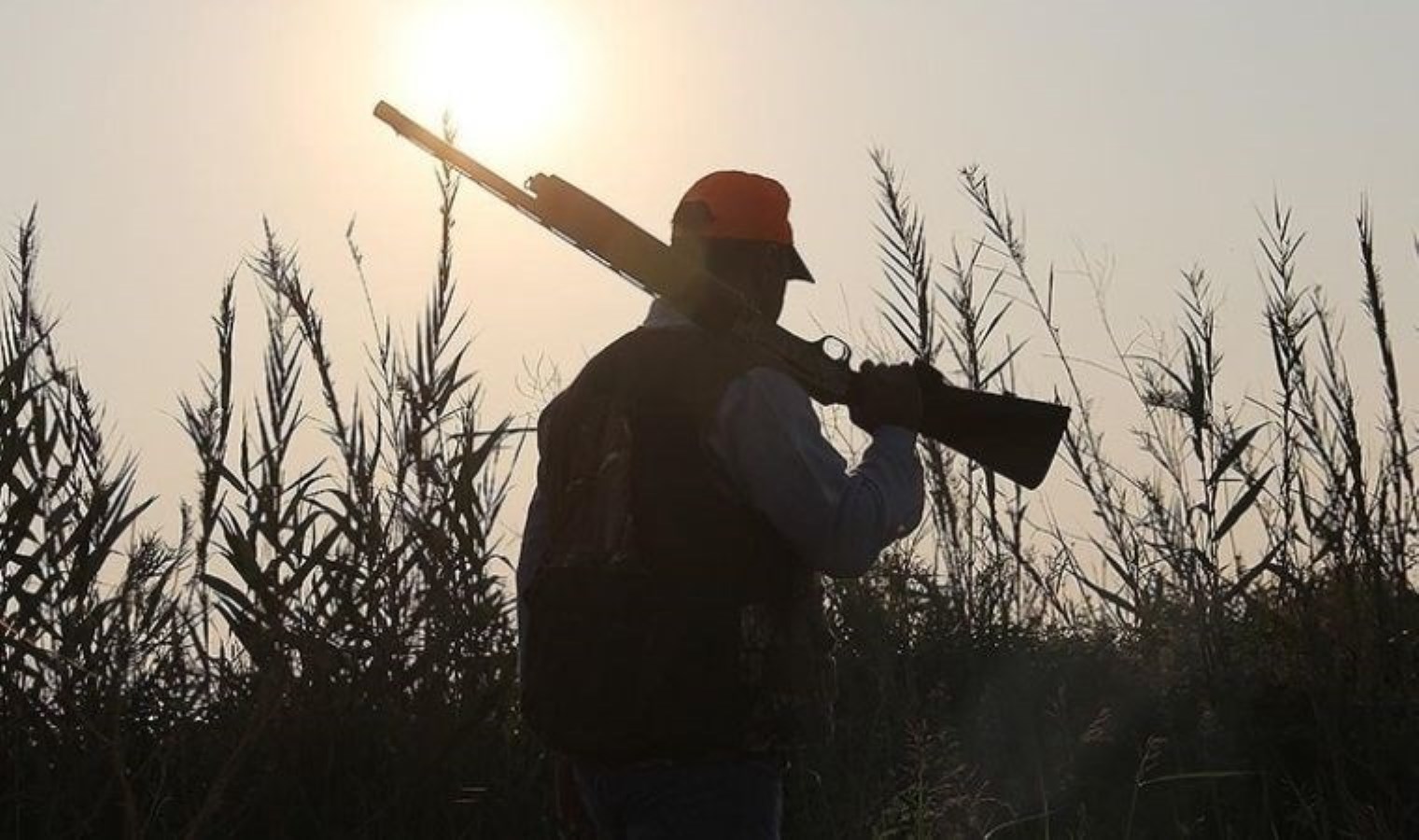 Av Sezonu 2023: Başlangıç Tarihleri ve Avlanacak Türler