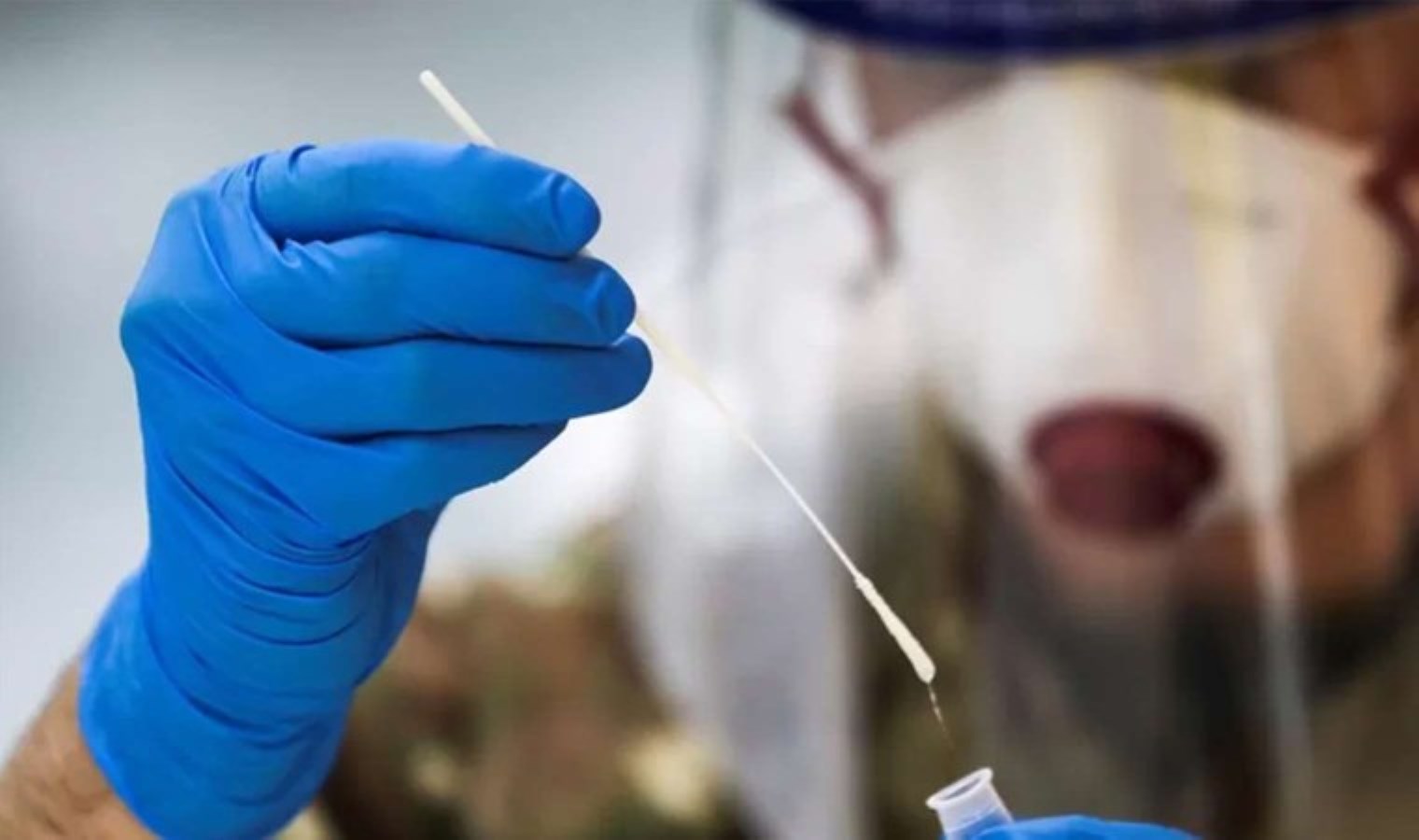 Avrupa’ya sıçradı: Oropouche virüsü nedir, nasıl bulaşır? Oropouche virüsü tedavisi var mı?