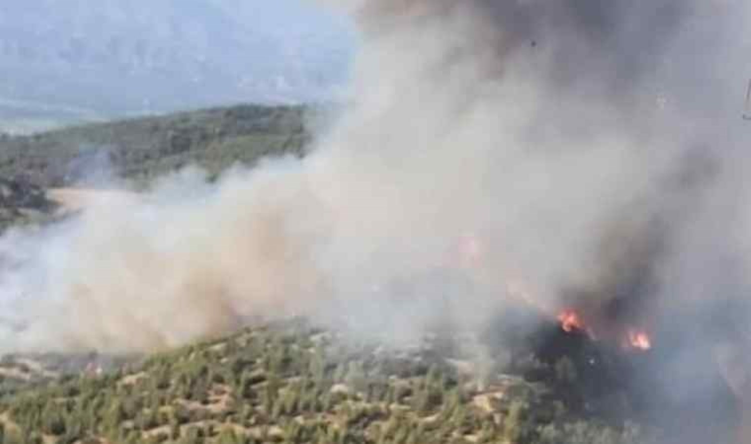 Aydın’da Gümüşköy’de Yangın Çıktı