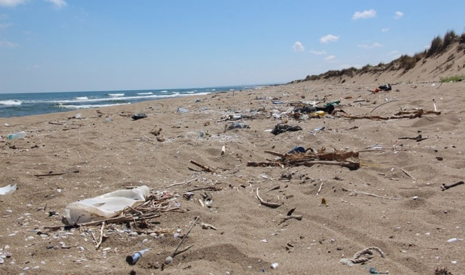 Babalı Sahili’nde Çöp Kirliliği ve Çevre Sorunları