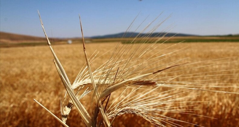 Bakan Yumaklı’dan ‘destekleme’ açıklaması