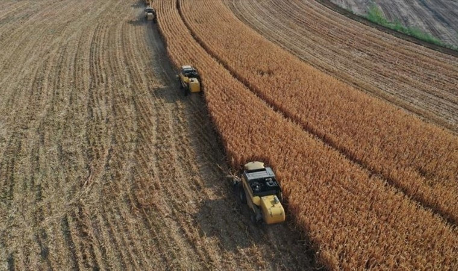 Bakanlıktan ‘işlenmeyen tarım arazisi’ kararı! ‘Devlet gelip el koyacak’
