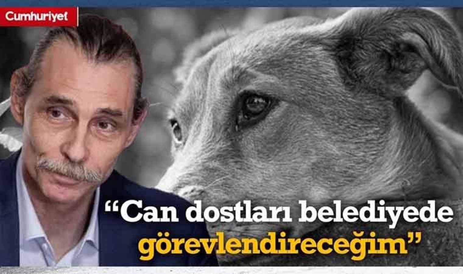 Behzat Ç. de o yasaya karşı… Erdal Beşikçioğlu: Sokak hayvanlarını belediyede görevlendireceğim