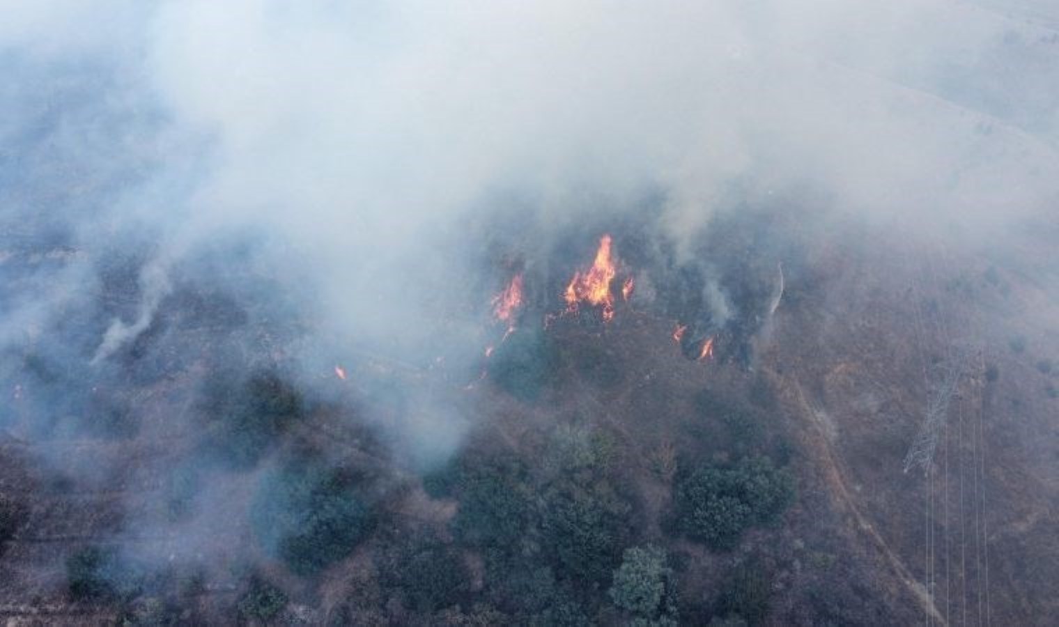 Bilecik’te orman yangını!