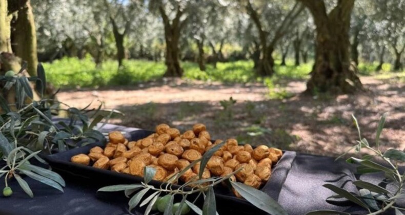 Bu da oldu… ‘Altın kaplamalı’ zeytin yok satıyor!