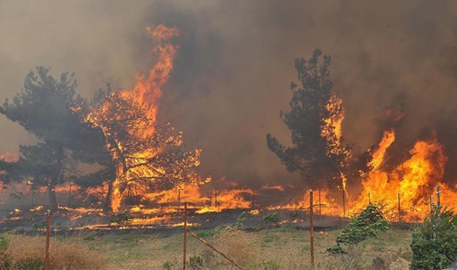 Bursa’da orman yangını: 12 saatte kontrol altına alındı