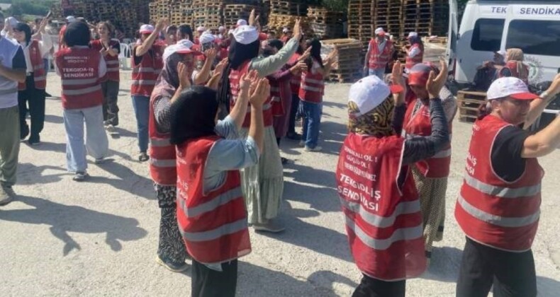 Çatalca’daki Polonez Et Fabrikası’nda İşten Çıkarma Skandalı