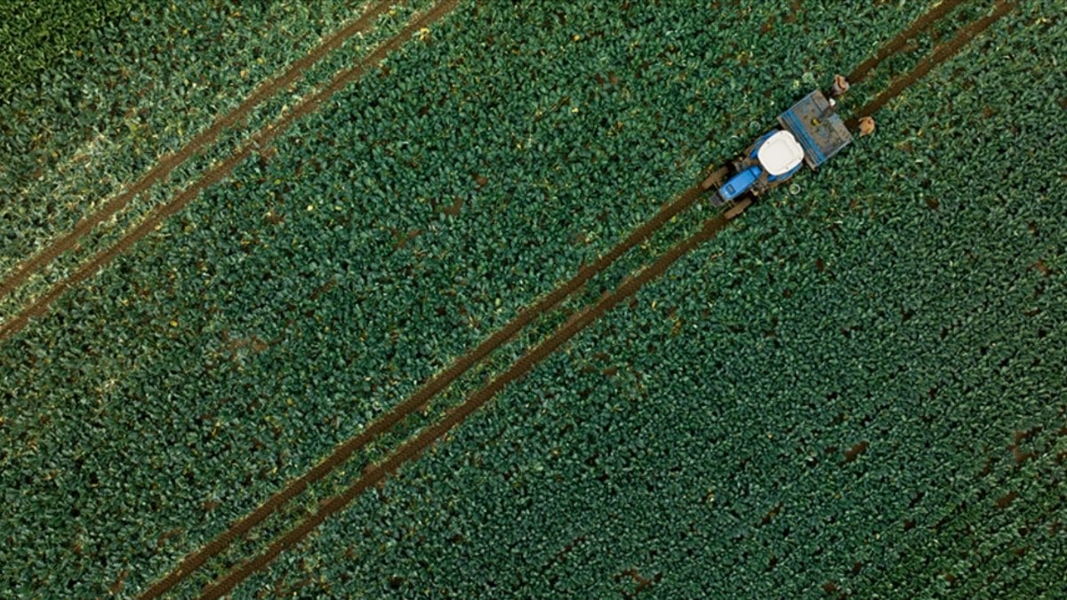 Çiftçilerin 2025 ÇKS başvuruları, 1 Eylül’de başlıyor