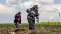 ‘Çiftçinin arazi ihtiyacından çok, girdi maliyetlerinin azaltılmasına ihtiyacı var’