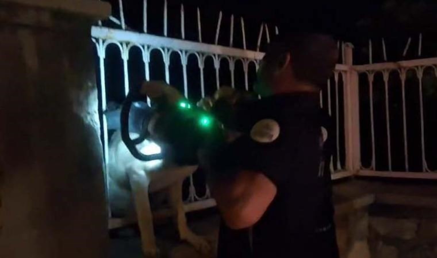 Demir parmaklıklara sıkışan köpek kurtarıldı