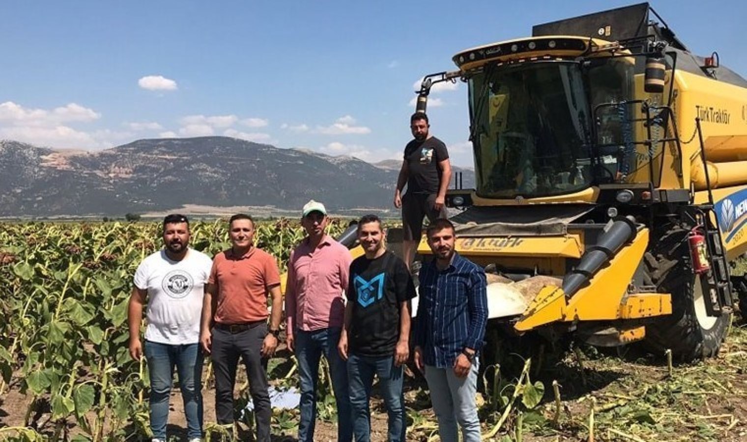 Dinar’da Çerezlik Ayçiçeği Hasadı Başladı