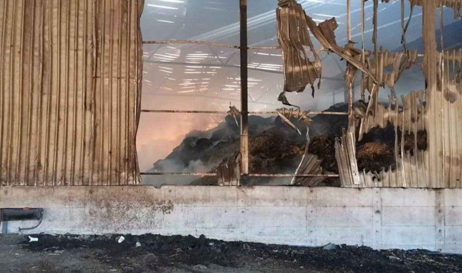 Ertuğrul Mahallesi’nde Büyükbaş Hayvan Çiftliğinde Yangın Çıktı