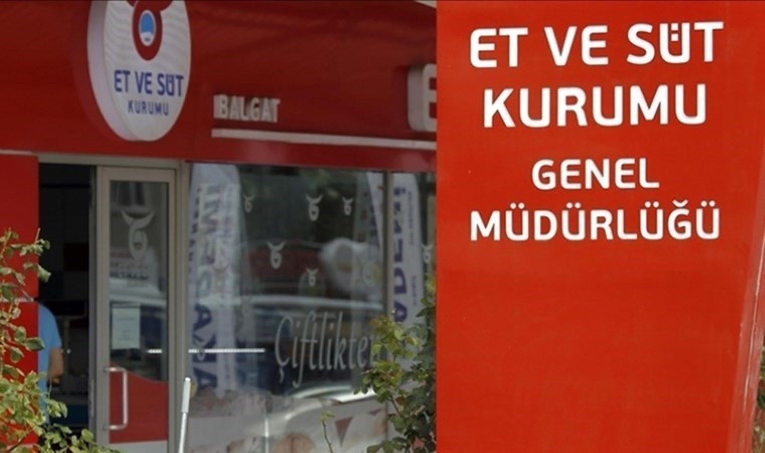 Et ve Süt Kurumu’ndan İthal Hayvanlarla İlgili Açıklama