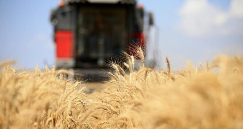 FAO: Küresel gıda fiyatları temmuzda değişim göstermedi