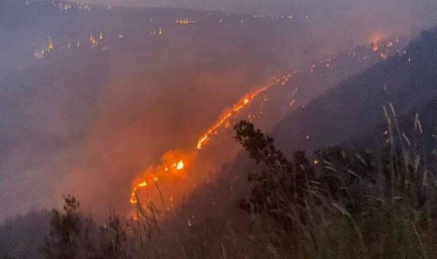 Genç İlçesinde Büyük Orman Yangını Kontrol Altına Alındı