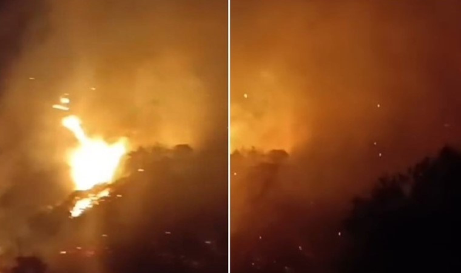 Germencik’te Yeni Orman Yangını