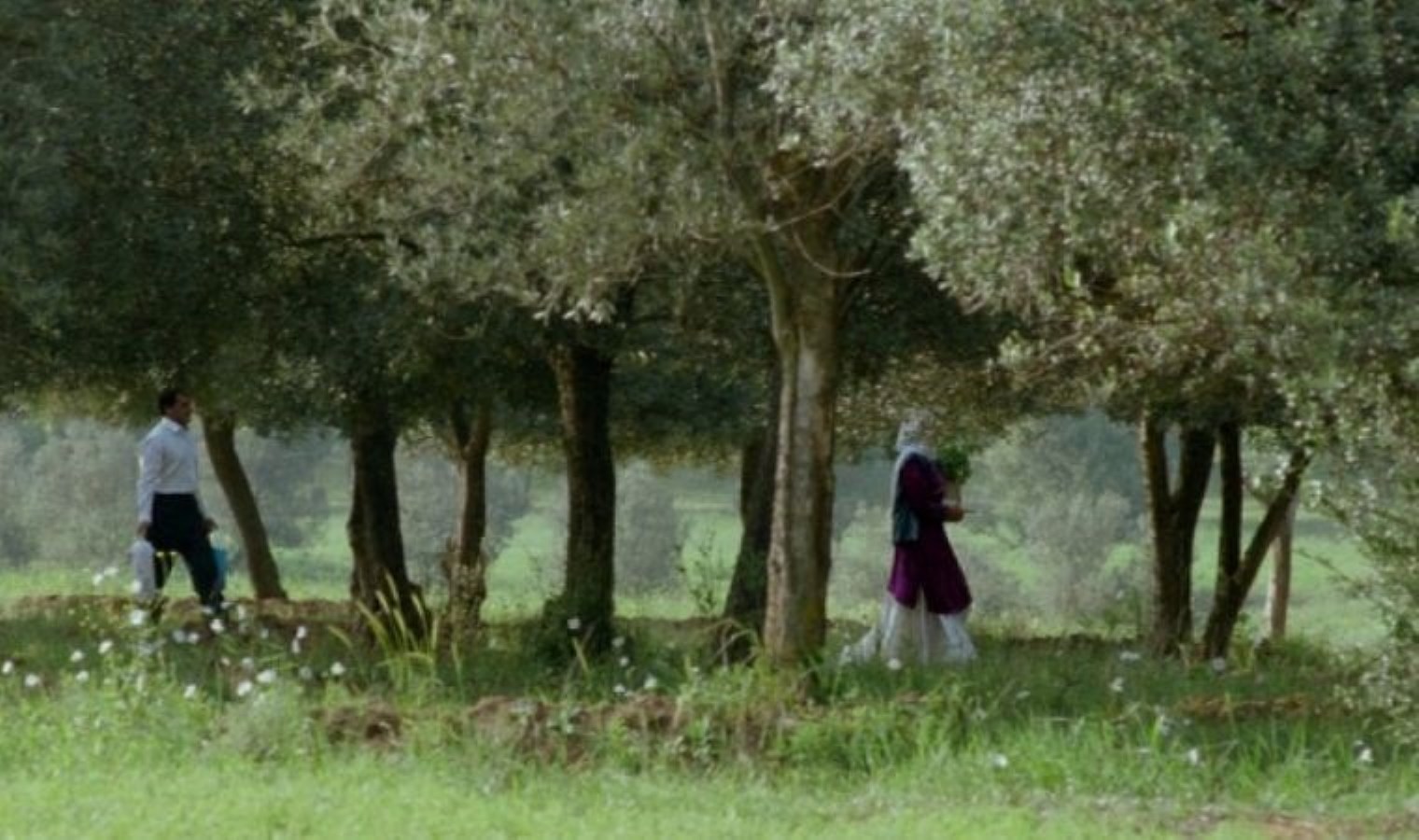 Hafta Sonu İçin Özel Film Önerileri