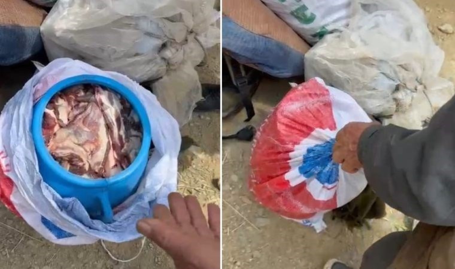 Hakkari’de dağ keçisi avlayan 3 bireye para cezası kesildi