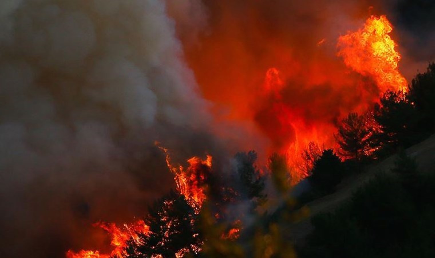 Hatalarını itiraf ettiler: Mersin’de orman yangını çıkaran 2 kişi tutuklandı