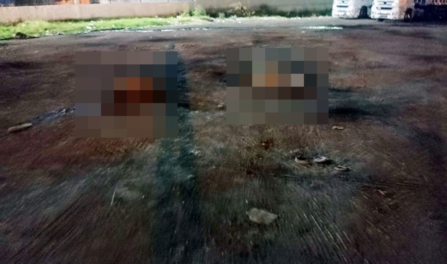 Hatay’da Koyun Zehirlenmesi Olayı: 15 Koyun Hayatını Kaybetti