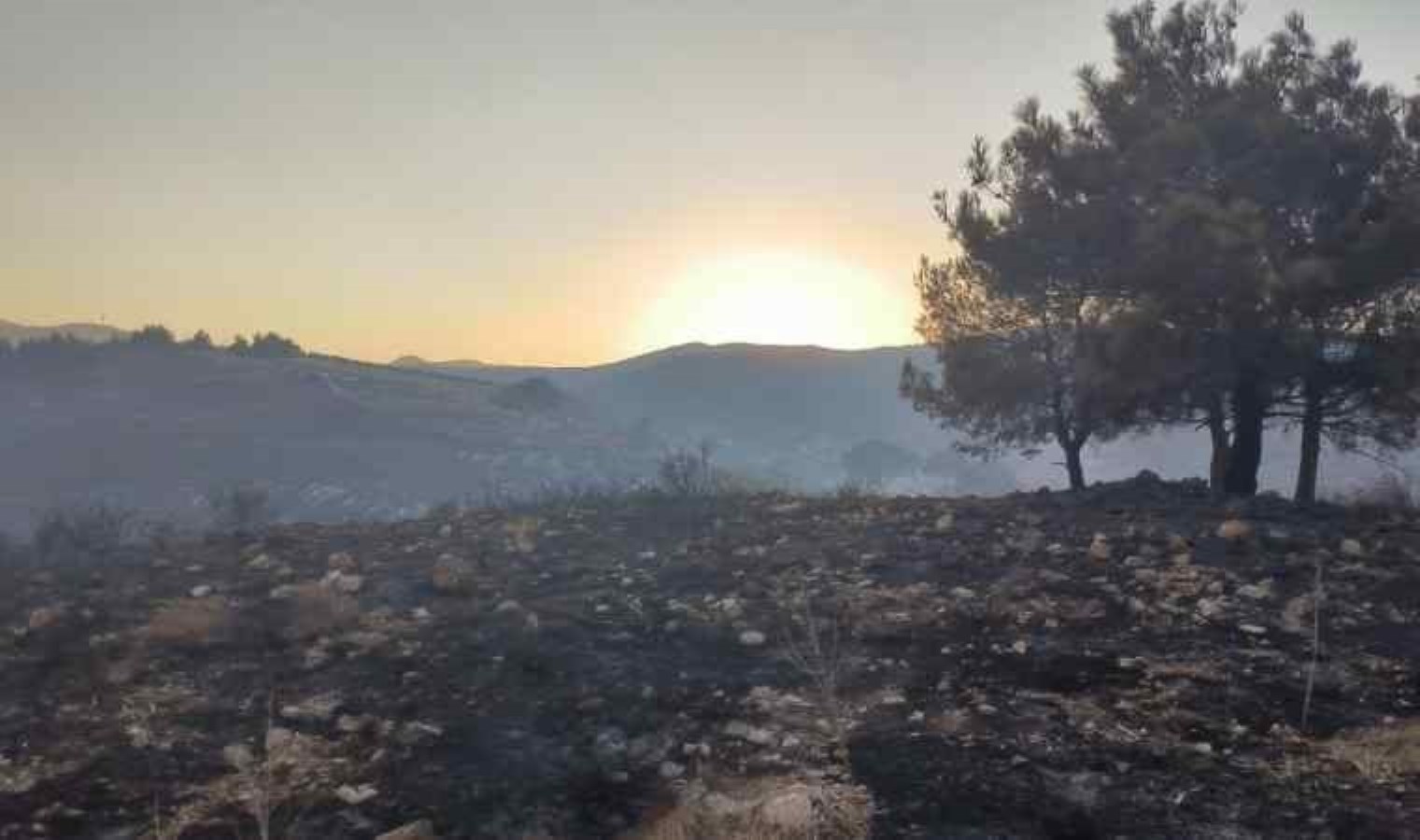 Hatay’daki Orman Yangını Kontrol Altına Alındı