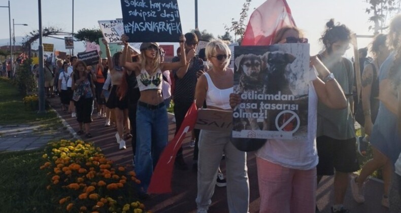 Hayvanseverlerden ‘yasayı geri çekin’ çağrısı: ‘Bu zulüm ülkemizi, milletimizi, devletimizi lanetler’