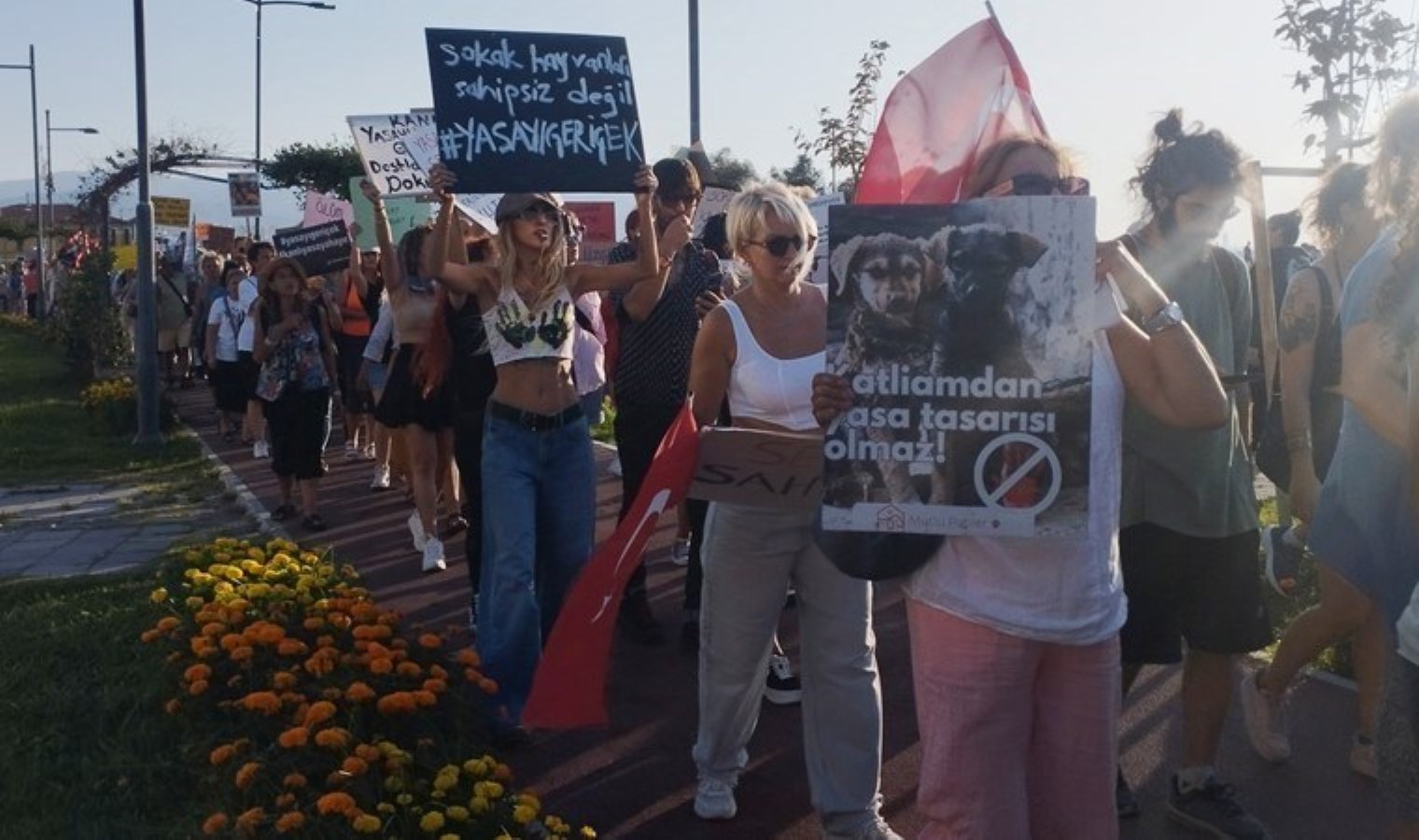 Hayvanseverlerden ‘yasayı geri çekin’ çağrısı: ‘Bu zulüm ülkemizi, milletimizi, devletimizi lanetler’