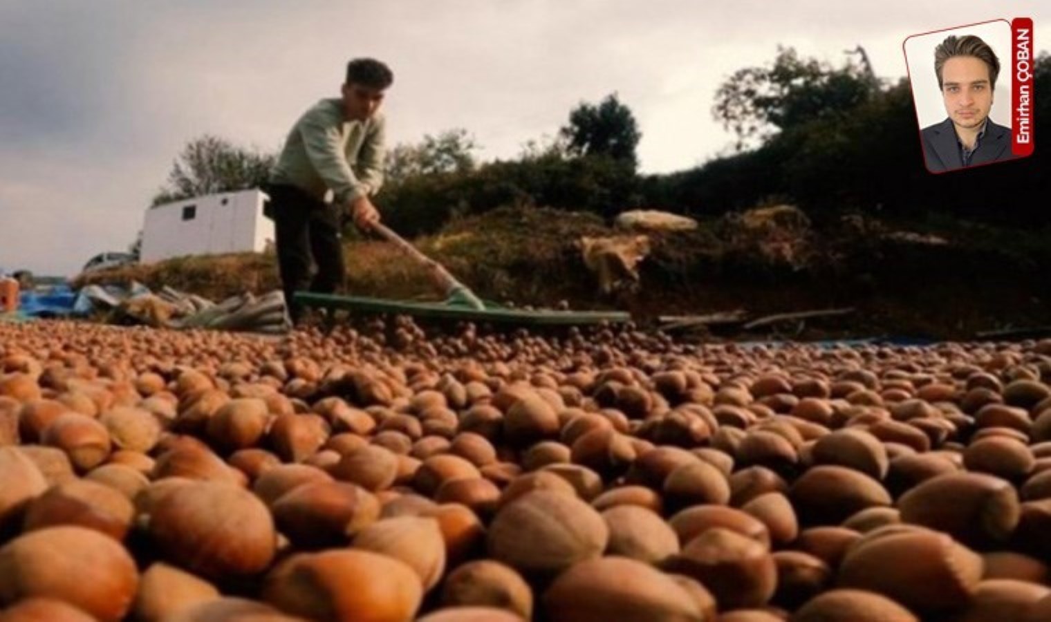 ‘İnsanlar fındık üretimini bırakacak’