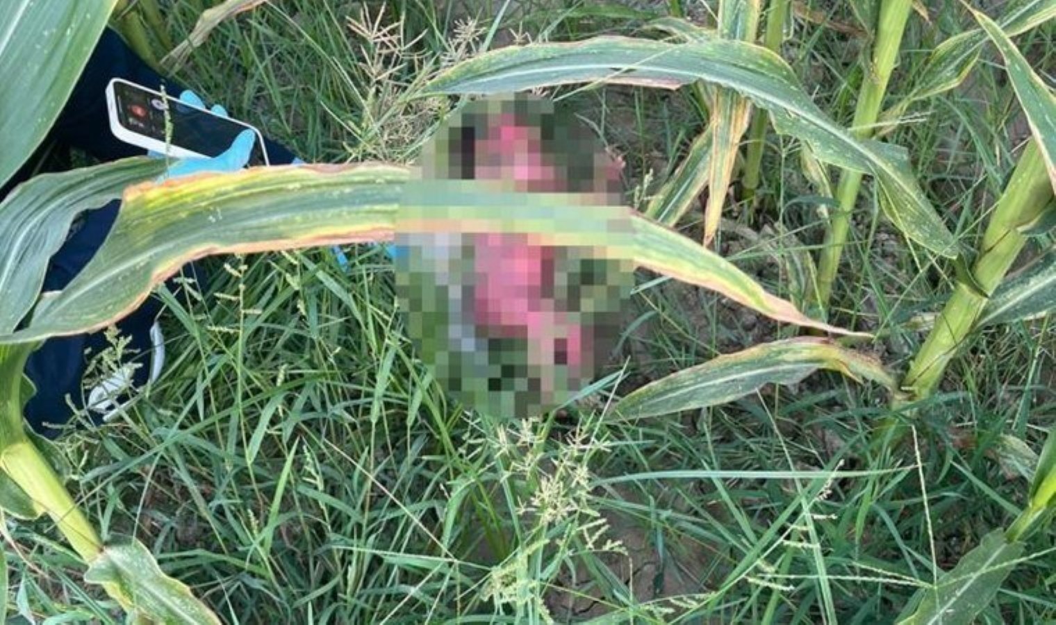 İrfanlı Mahallesi’nde Yeni Doğmuş Bebek Bulundu