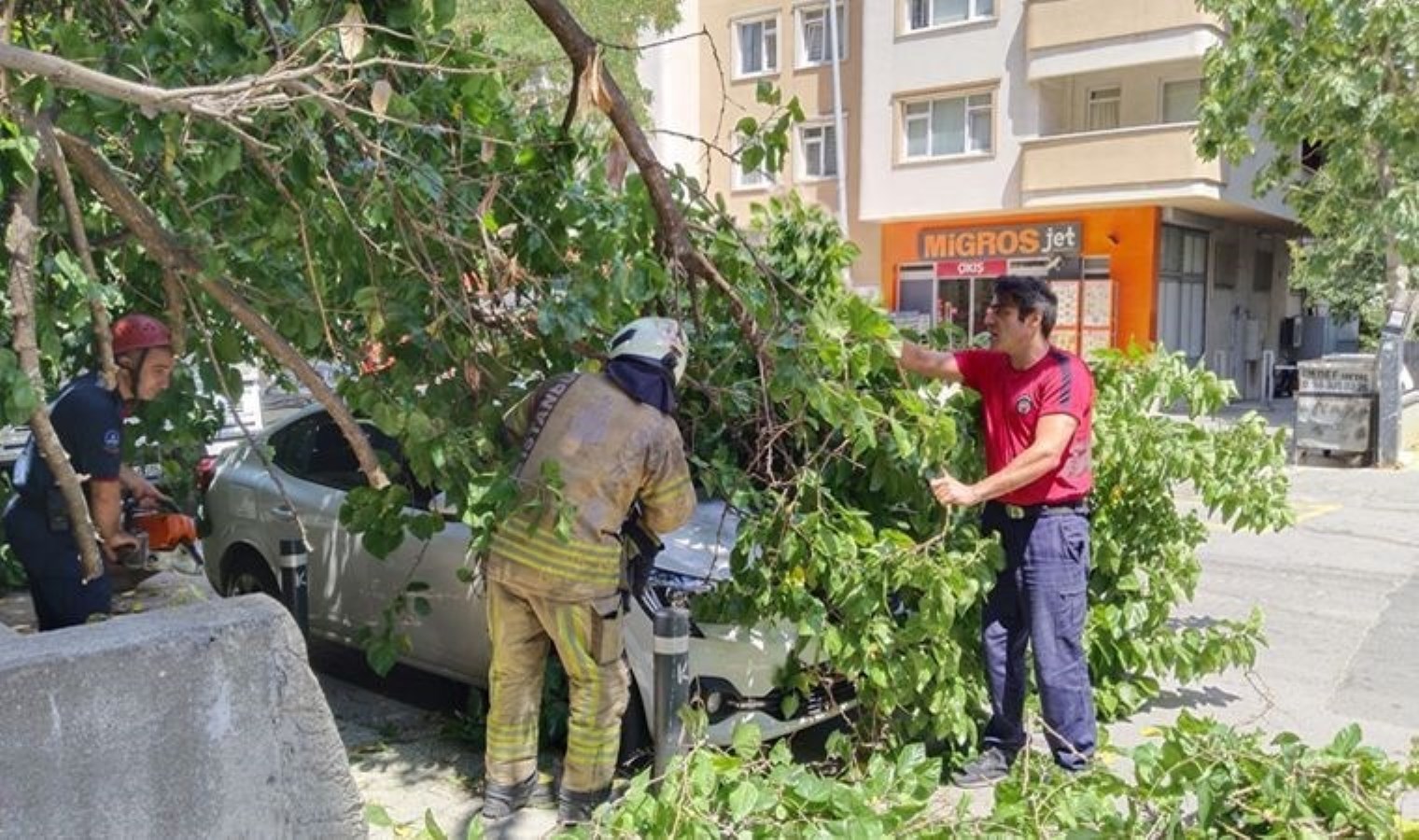 İstanbul’da Ağaç Devrildi, Park Halindeki Araca Zarar Verdi