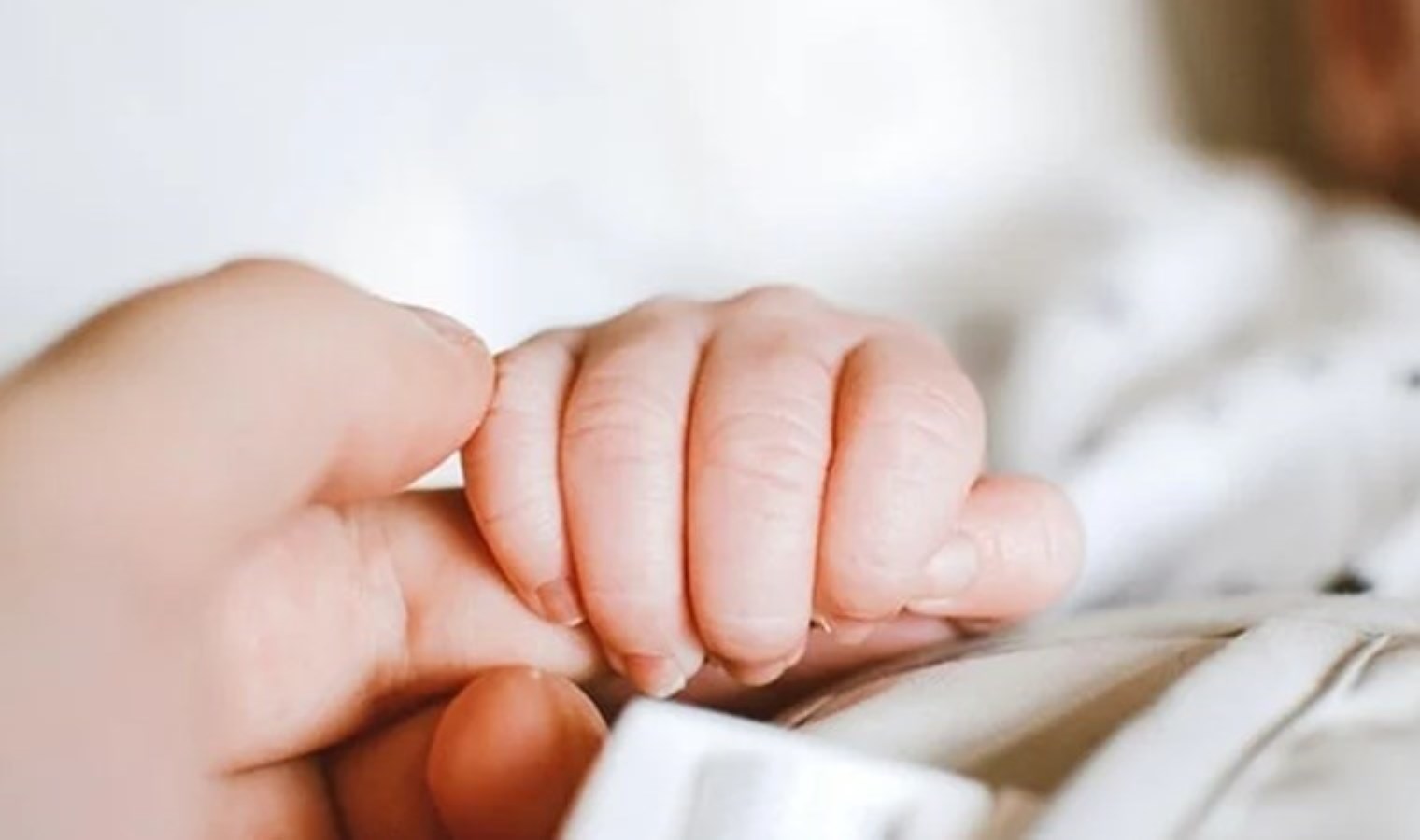 İstanbul’da Organ Bağışı ile İki Çocuğun Hayatı Kurtarıldı