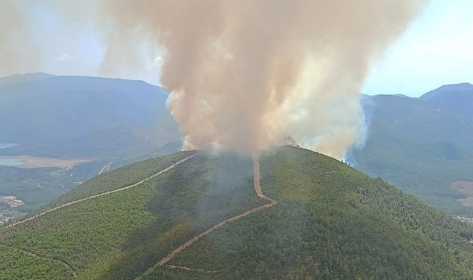 İzmir Menderes’te orman yangını: İtfaiye müdahale ediyor