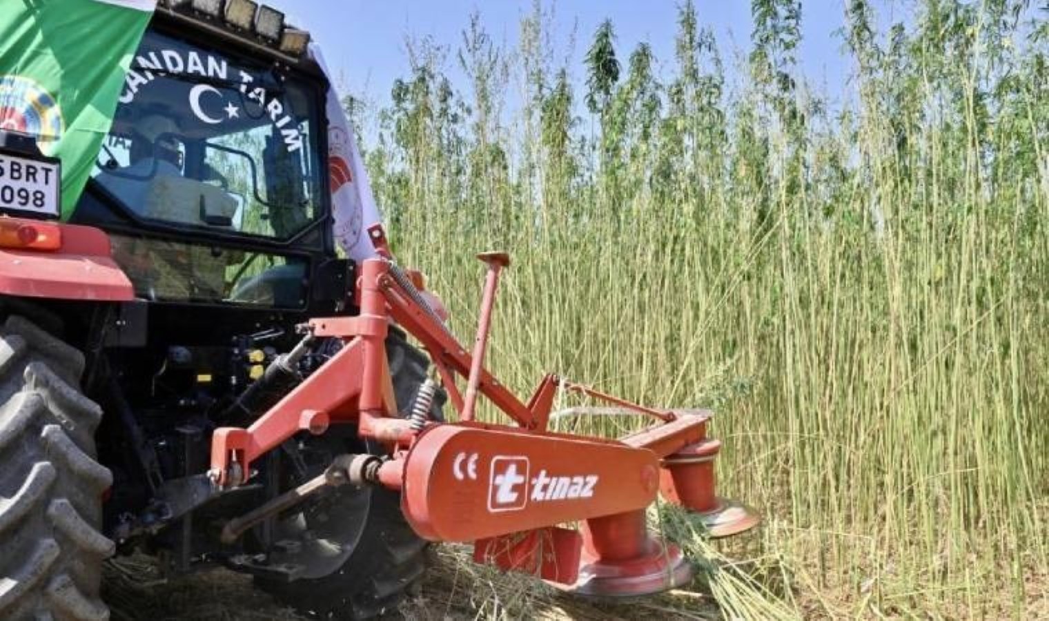 İzmir’de izinli ve kontrollü kenevir hasadı gerçekleştirildi