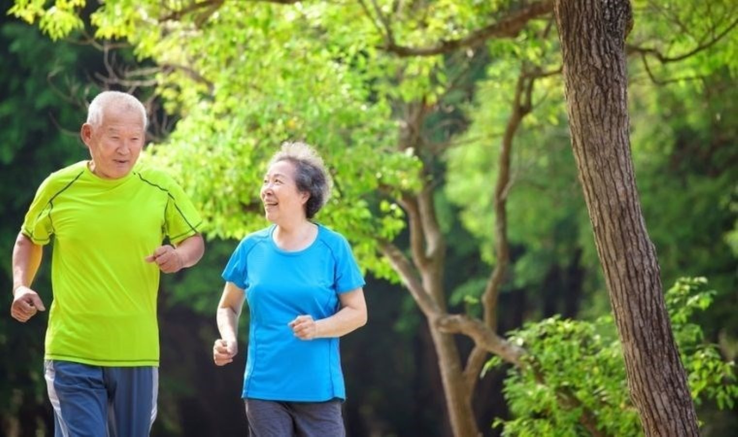 Japonların Uzun Ömrünün Sırları